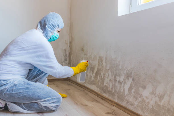 Mold Remediation specialist working in Bryans Road